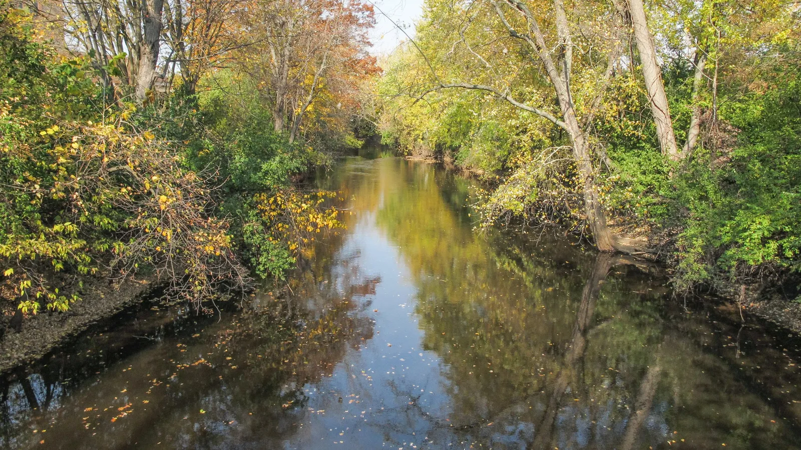The Red Cedar River running through Michigan State University's campus in autumn