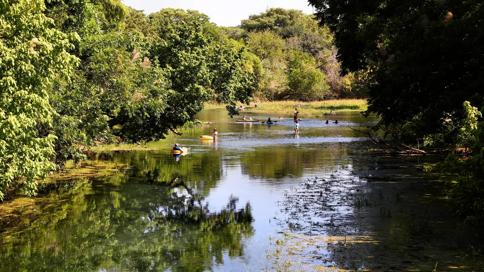 The San Marcos River running through San Marcos, Texas