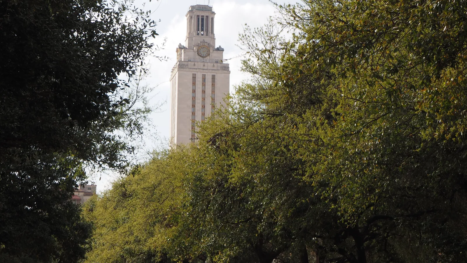 The University of Texas Tower viewed from the east, framed by campus trees