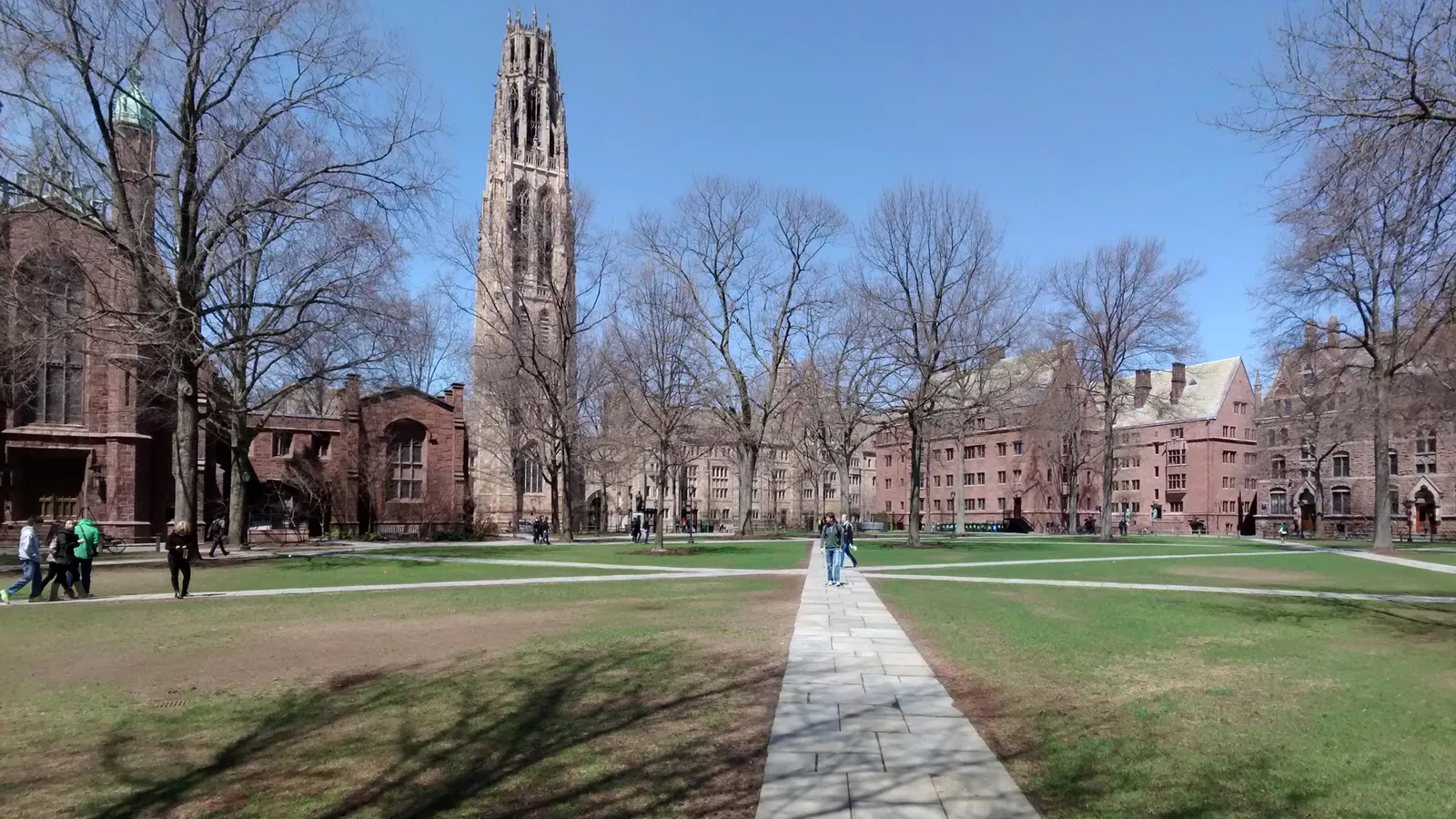 Harkness Tower rising above Yale University's Old Campus